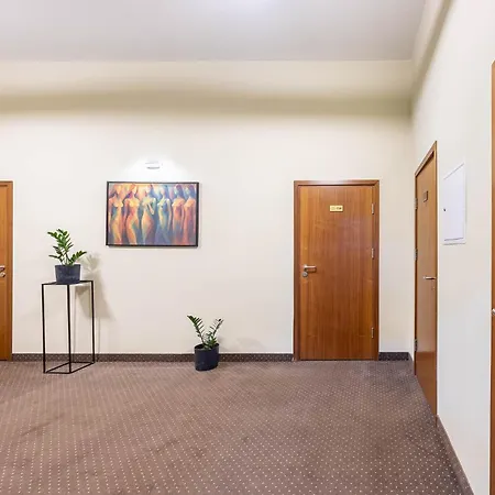 罗特哈斯酒店 3*